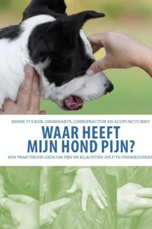 Waar heeft mijn hond pijn? - Renee Tucker; Naomi Harmer Fabrieksprijs