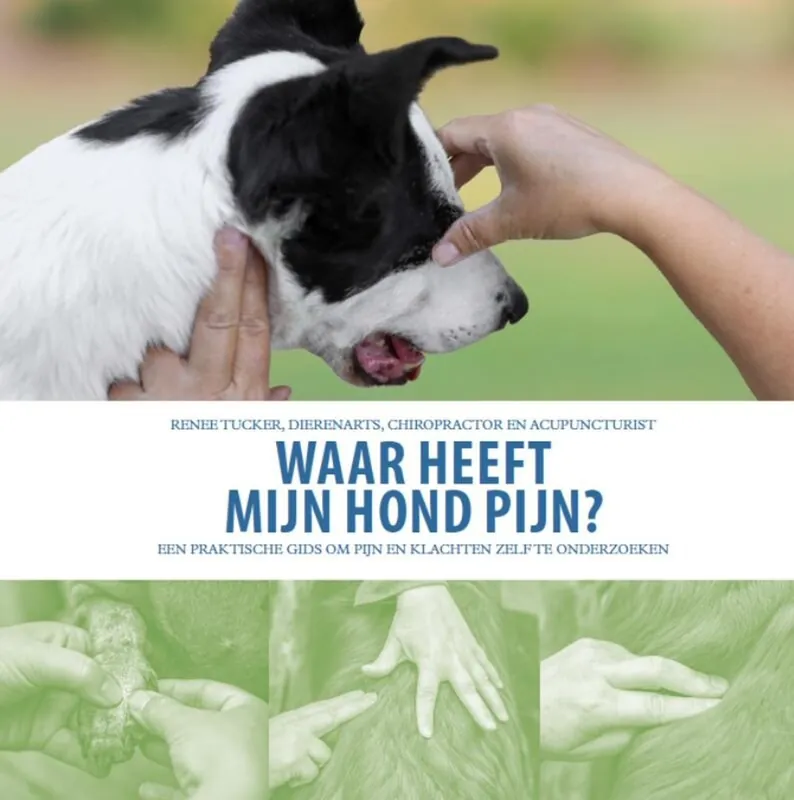 Waar heeft mijn hond pijn? - Renee Tucker; Naomi Harmer Fabrieksprijs