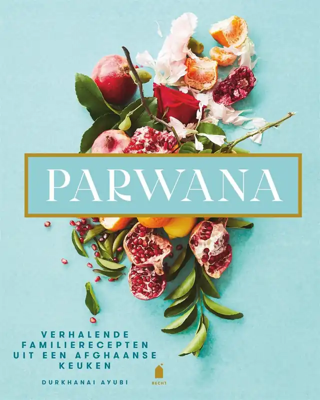 Parwana - Durkhanai Ayubi Direct Verzonden