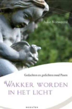 Wakker worden in het licht - Joke Verweerd Speciale Aanbieding
