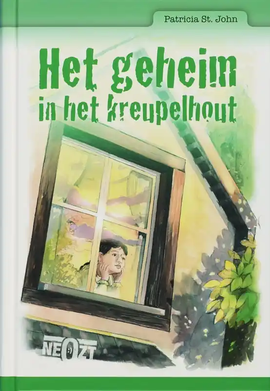 Het geheim in het kreupelhout - P. Saint John Gratis Verzending