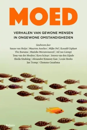 Exclusieve Aanbieding Moed - Kees Schuyt; Jeroen van den  Eijnde; Clemens Graafsma