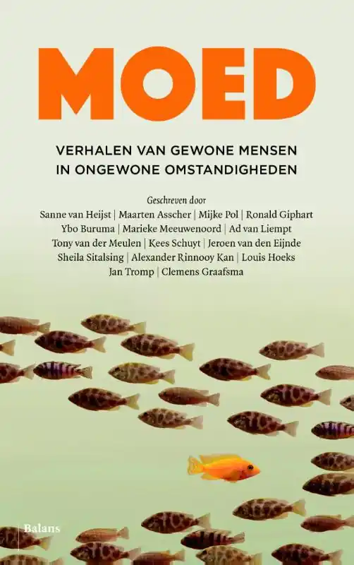 Exclusieve Aanbieding Moed - Kees Schuyt; Jeroen van den Eijnde; Clemens Graafsma