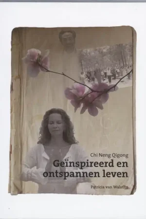 Chi Neng Qigong Geinspireerd en ontspannen leven - P. van Walstijn Beperkte Voorraad
