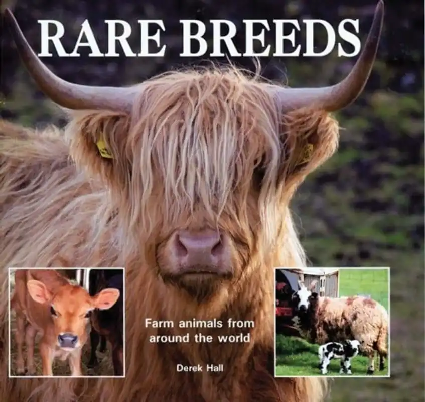Rare Breeds Farm Animals from Around the World - Derek Hall Koopje