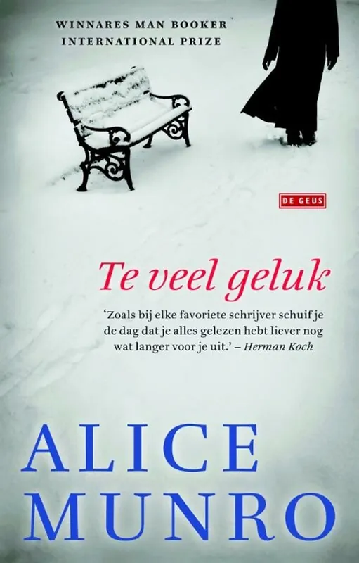 Koopje Te veel geluk - Alice Munro
