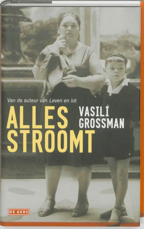 Koopje Alles stroomt - V. Grossman