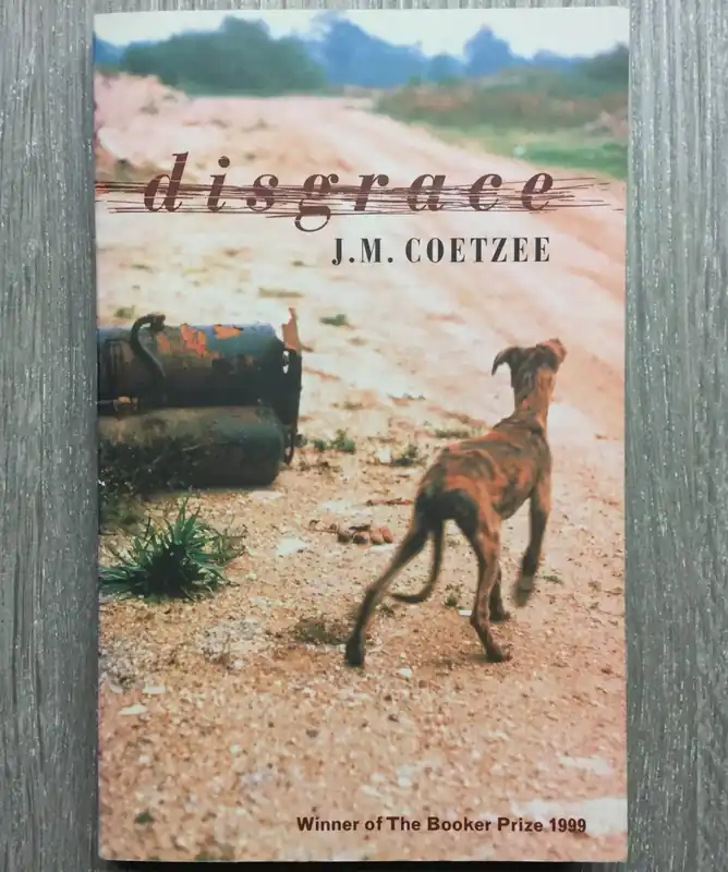 Dagaanbieding Disgrace - J.m. Coetzee
