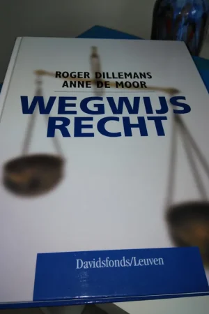 Koop Online Wegwijs recht - R. Dillemans; A. de Moor
