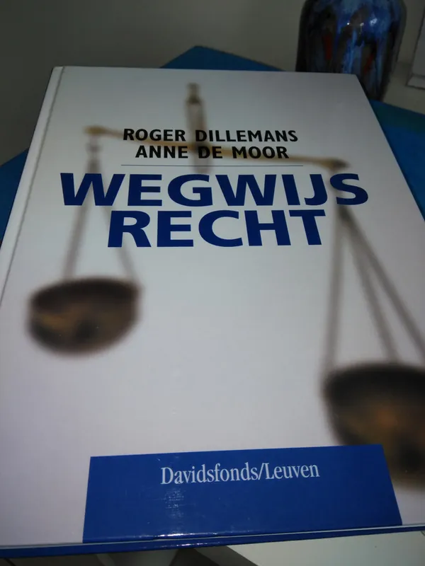 Koop Online Wegwijs recht - R. Dillemans; A. de Moor