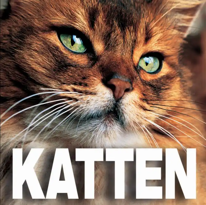 Katten - Onbekende auteur Direct Beschikbaar