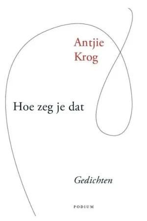 Voordeelprijs Hoe zeg je dat - Antjie Krog