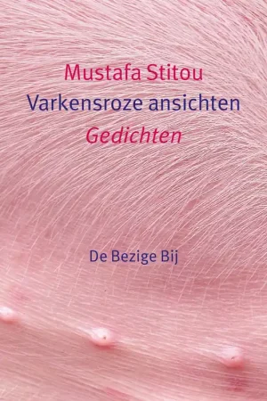 Varkensroze ansichten - Mustafa Stitou Betrouwbaar