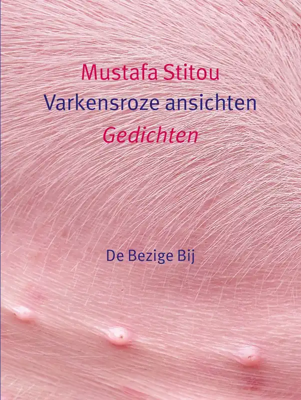 Varkensroze ansichten - Mustafa Stitou Betrouwbaar