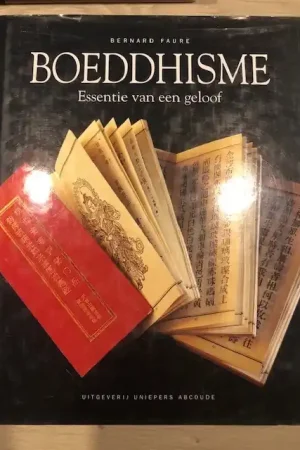 Gereduceerde Prijs Boeddhisme - B. Faure