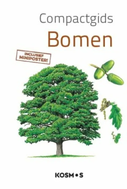 Betaalbaar Bomen - Scribent
