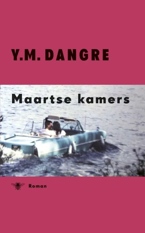 Dagaanbieding Maartse kamers - Yannick Dangre