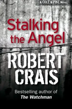 Rechtstreeks Van De Fabrikant Stalking the Angel - Robert Crais