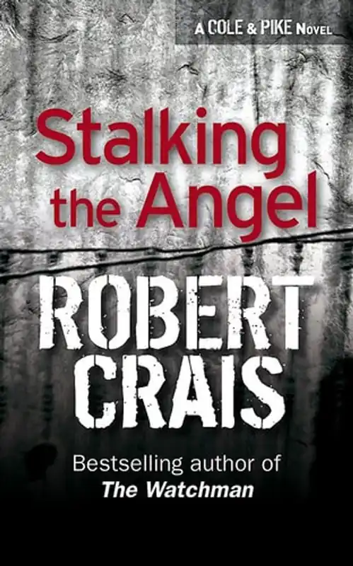 Rechtstreeks Van De Fabrikant Stalking the Angel - Robert Crais