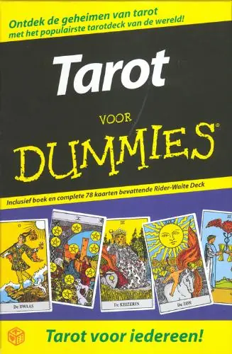 Tarot voor Dummies set - Jayanti Amber Koop Online