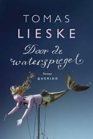 Weekendaanbieding Door de waterspiegel - Tomas Lieske