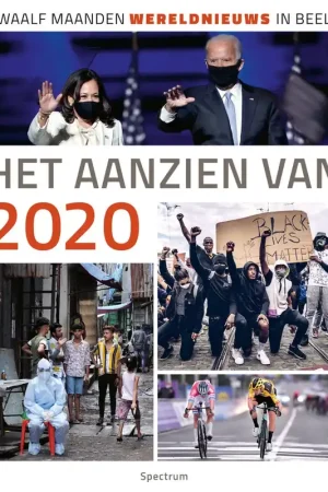 Het aanzien van 2020 - Han van Bree Goedkoop