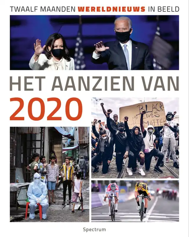 Het aanzien van 2020 - Han van Bree Goedkoop