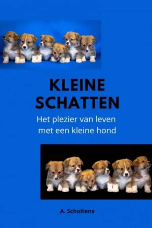 Actieprijs Kleine Schatten / Druk 1