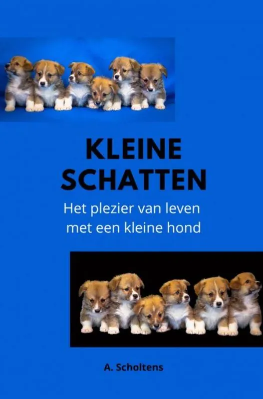 Actieprijs Kleine Schatten / Druk 1