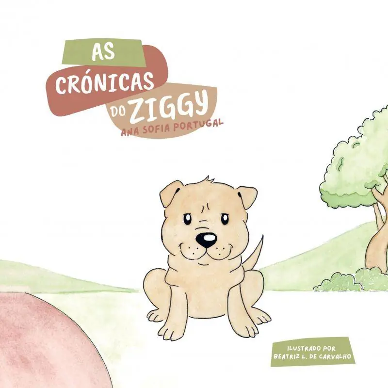 Exclusieve Aanbieding As Crónicas do Ziggy / 1 Edition
