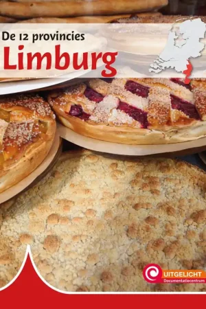 Betaalbaar Limburg / Druk 1
