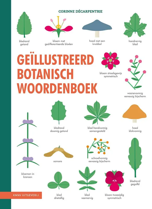 Geïllustreerd botanisch woordenboek / Druk 3 Koop Online