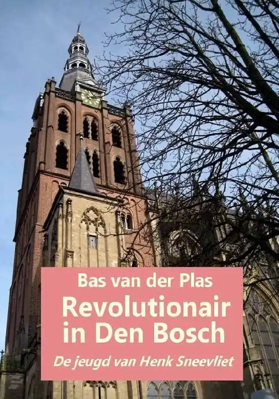 Revolutionair in Den Bosch / Druk 1 Lage Kosten