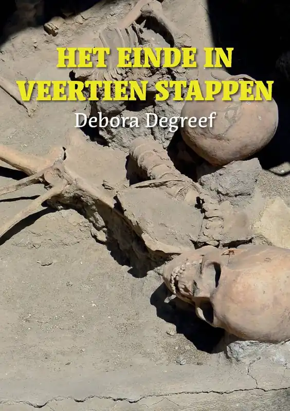 Beperkte Voorraad Het einde in veertien stappen / Druk 1