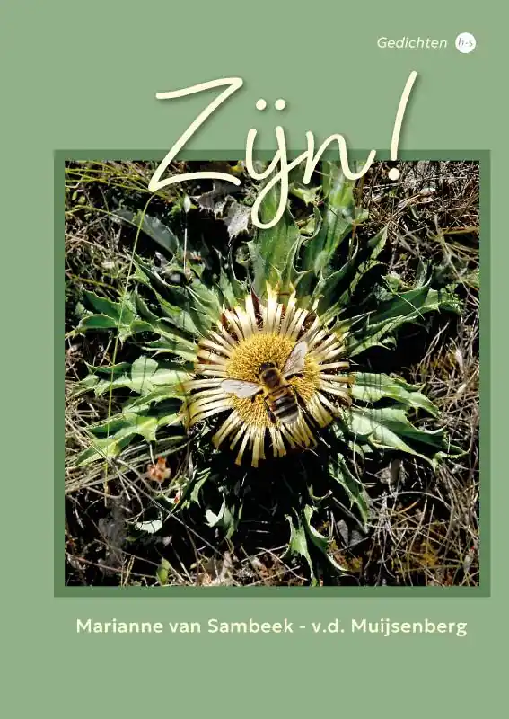 Zijn! / Druk 1 Hoge Kwaliteit