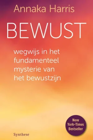 Veilige Betaling Bewust / Druk 1