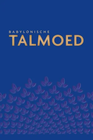 Beperkte Voorraad Babylonische Talmoed Sanhedrien 3/4/5/6 / Druk 1