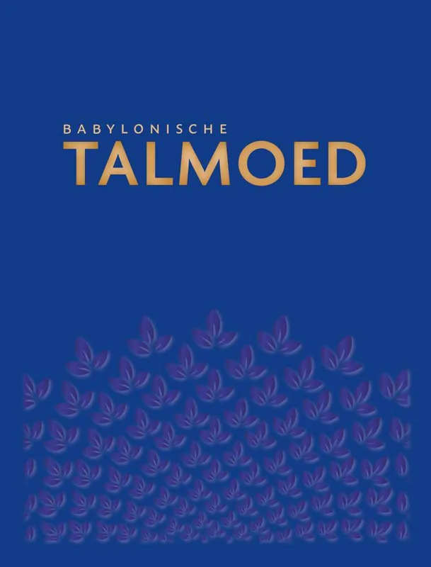 Beperkte Voorraad Babylonische Talmoed Sanhedrien 3/4/5/6 / Druk 1