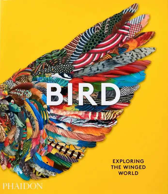 Populair Bird