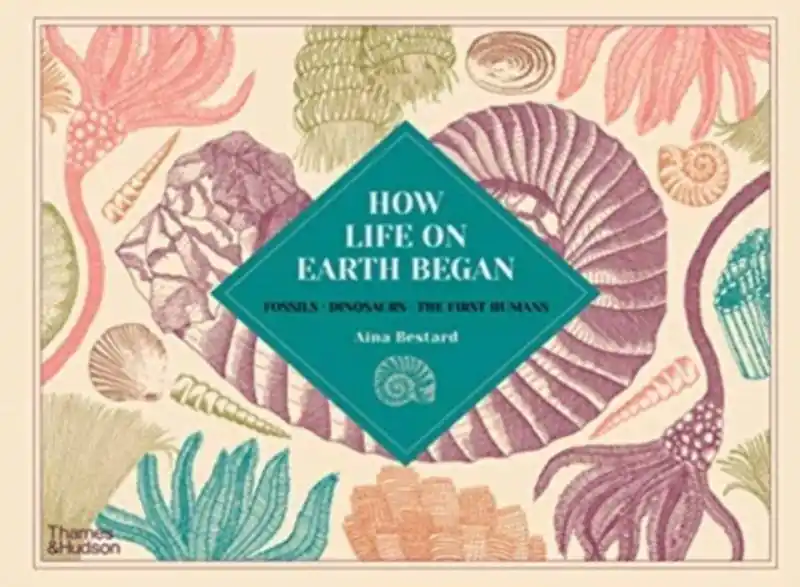 How Life on Earth Began Bestseller