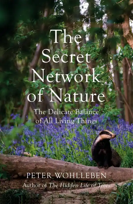 Premium The Secret Network of Nature