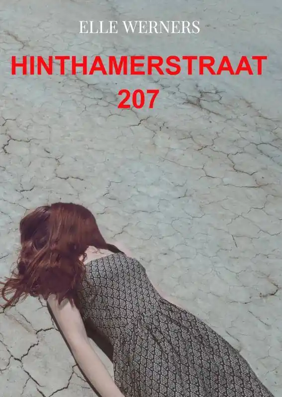 HINTHAMERSTRAAT 207 / Druk 4 Exclusieve Aanbieding