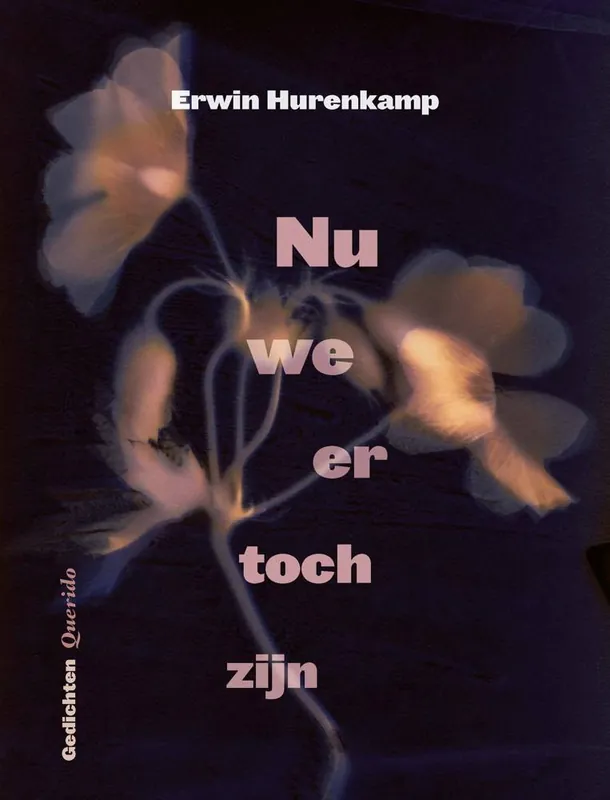 Nu we er toch zijn / Druk 1 Snelle Levering