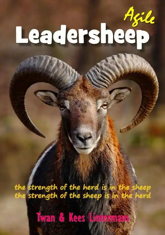 Agile leadersheep / 2nd Edition Speciale Aanbieding
