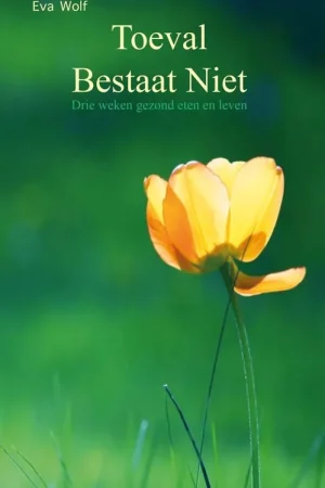 Toeval bestaat niet / Druk 1 Gereduceerde Prijs