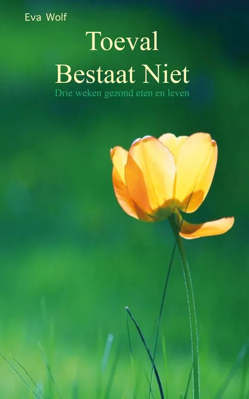 Toeval bestaat niet / Druk 1 Gereduceerde Prijs