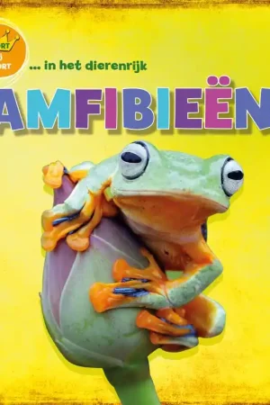 Amfibieën / Druk 1 Shop Nu