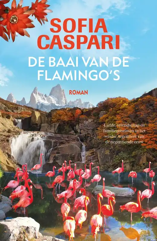 De baai van de flamingo's / Druk 2 Bestel Nu