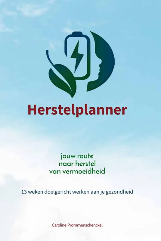 Betaalbaar Herstelplanner / Druk 1