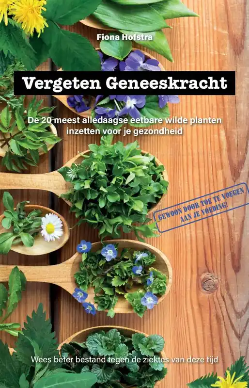 Rechtstreeks Van De Fabrikant Vergeten Geneeskracht / Druk 1